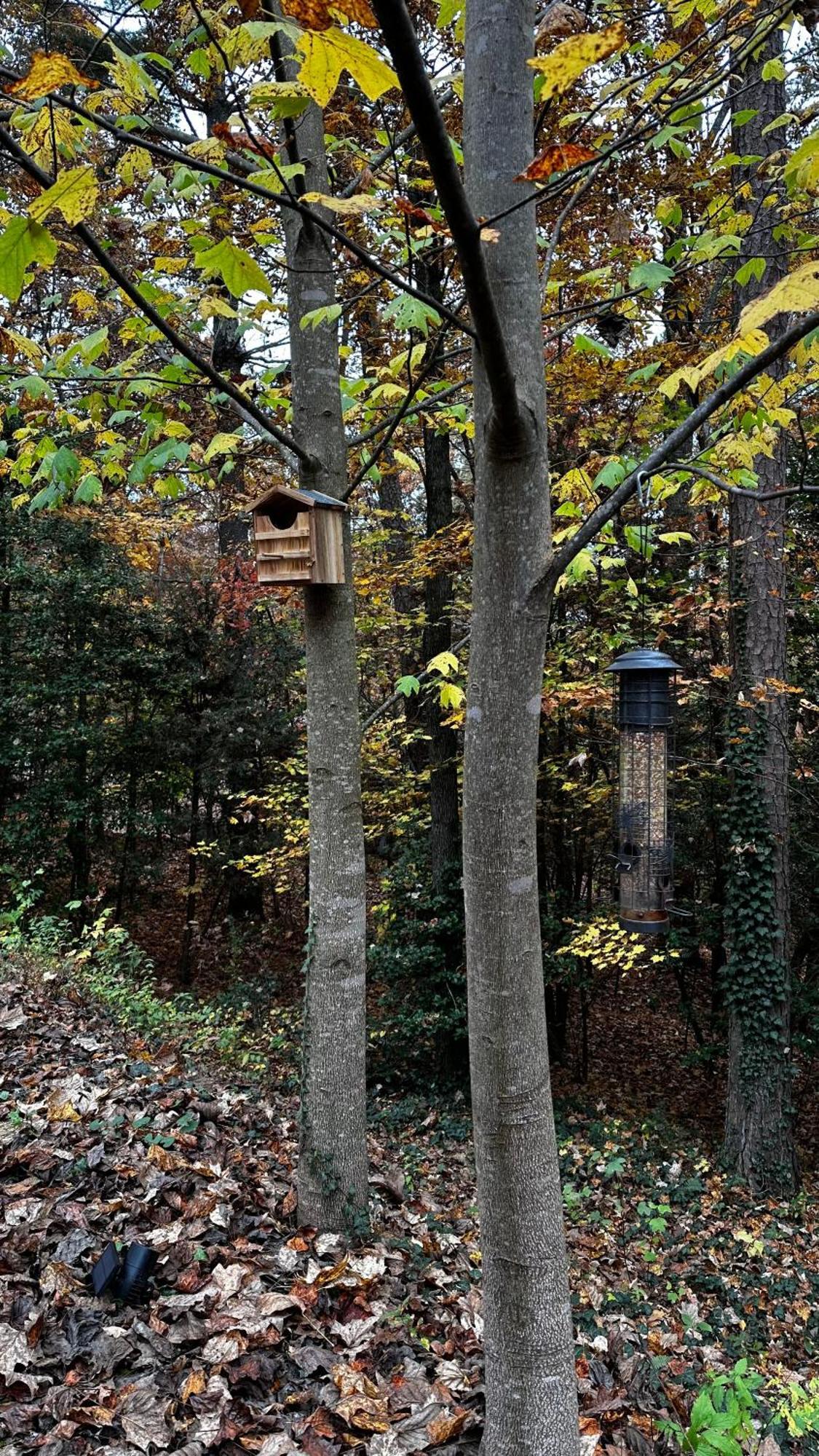 Appalachian Mountain Cabin-Updated-Private-Rafting On Ocoee River-Hiking-Waterfalls-Wifi-Pets Ok Murphy Dış mekan fotoğraf