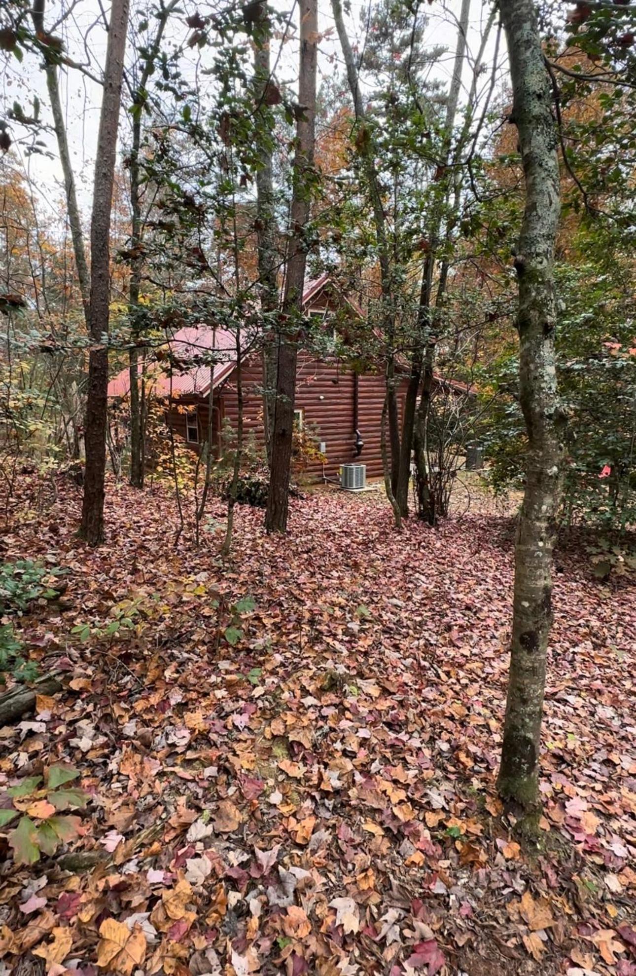Appalachian Mountain Cabin-Updated-Private-Rafting On Ocoee River-Hiking-Waterfalls-Wifi-Pets Ok Murphy Dış mekan fotoğraf