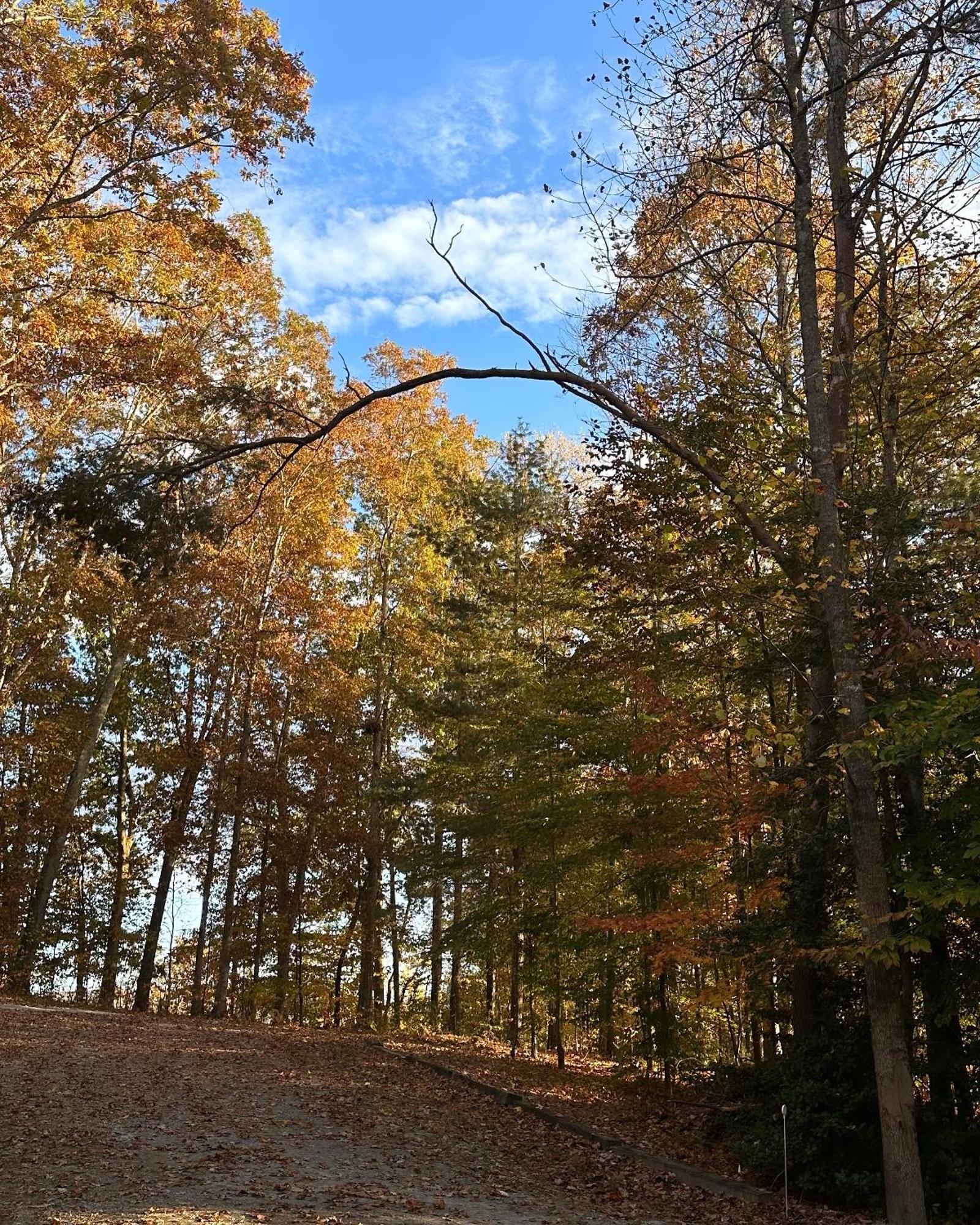 Appalachian Mountain Cabin-Updated-Private-Rafting On Ocoee River-Hiking-Waterfalls-Wifi-Pets Ok Murphy Dış mekan fotoğraf